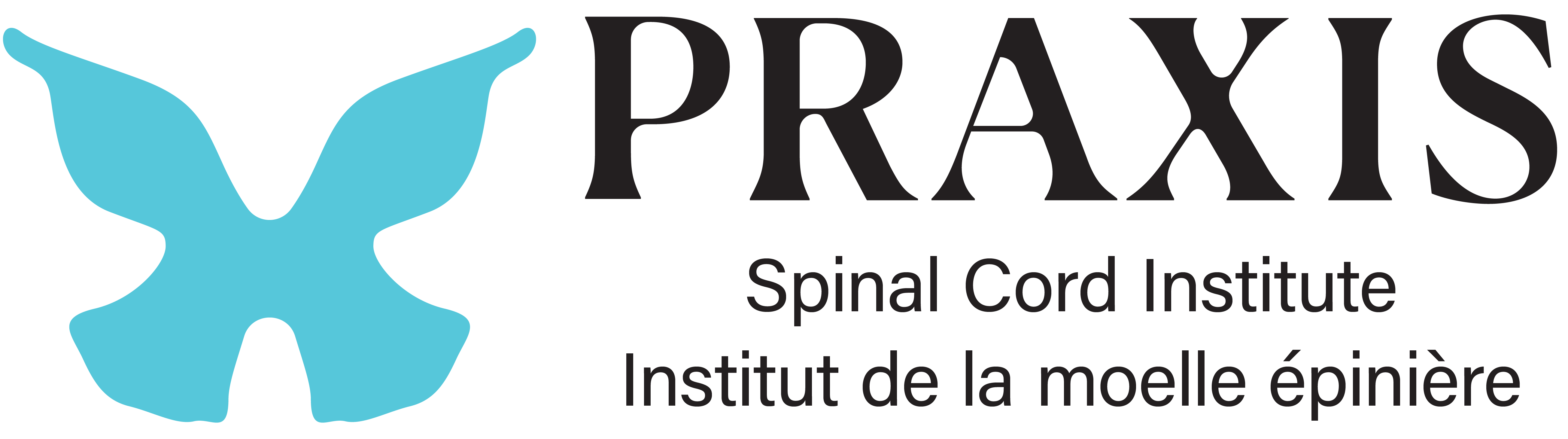 Praxis institute